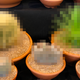 Image for article titled Drama Over Shirtless Selfie in Houseplant Hobby Group Inspires Wave of Plant Nude Trolling